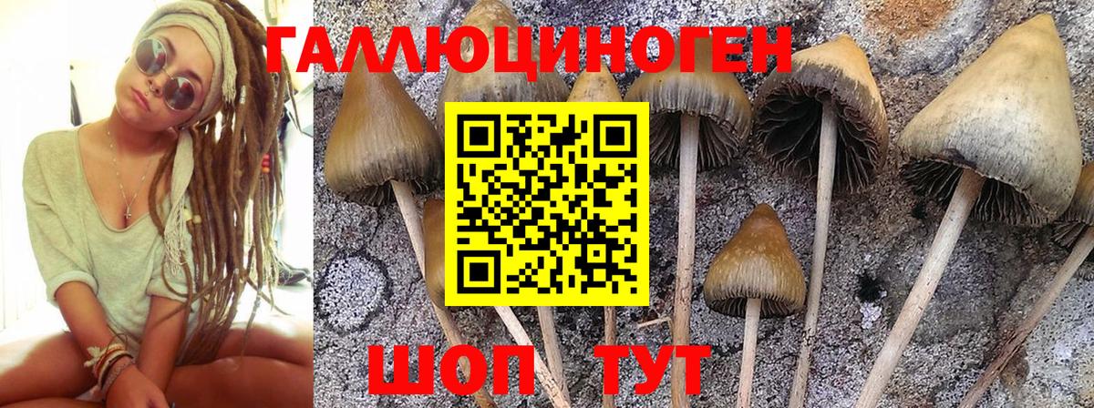 Псилоцибиновые грибы MAGIC MUSHROOMS Златоуст
