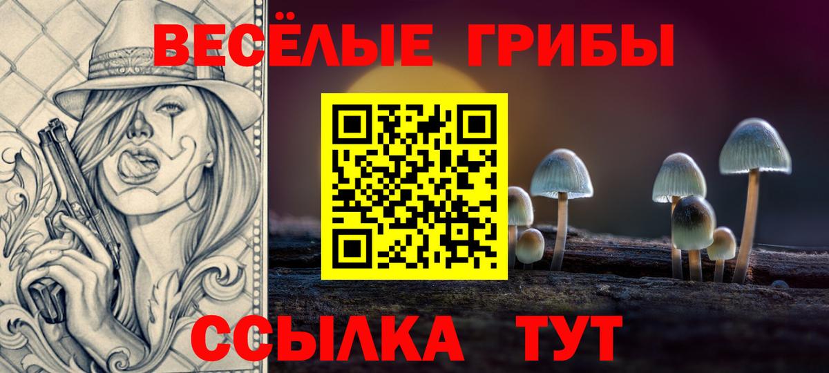 Галлюциногенные грибы MAGIC MUSHROOMS  Псилоцибиновые грибы мицелий  Златоуст  Вход с VPN 